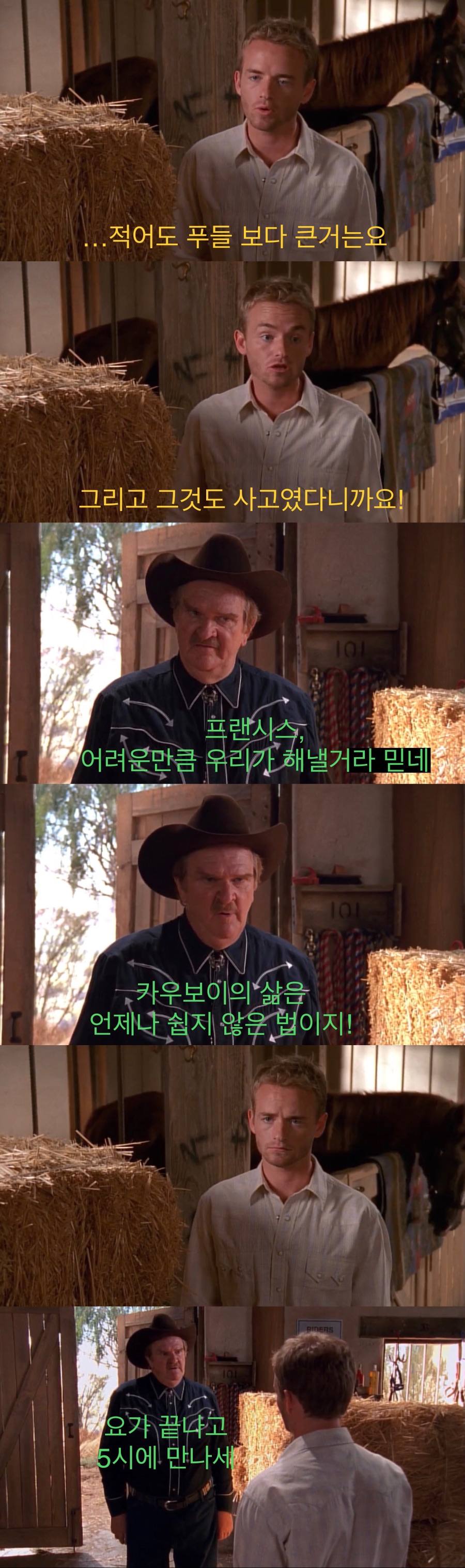 소중히 키운 말을 죽여야하는 카우보이들