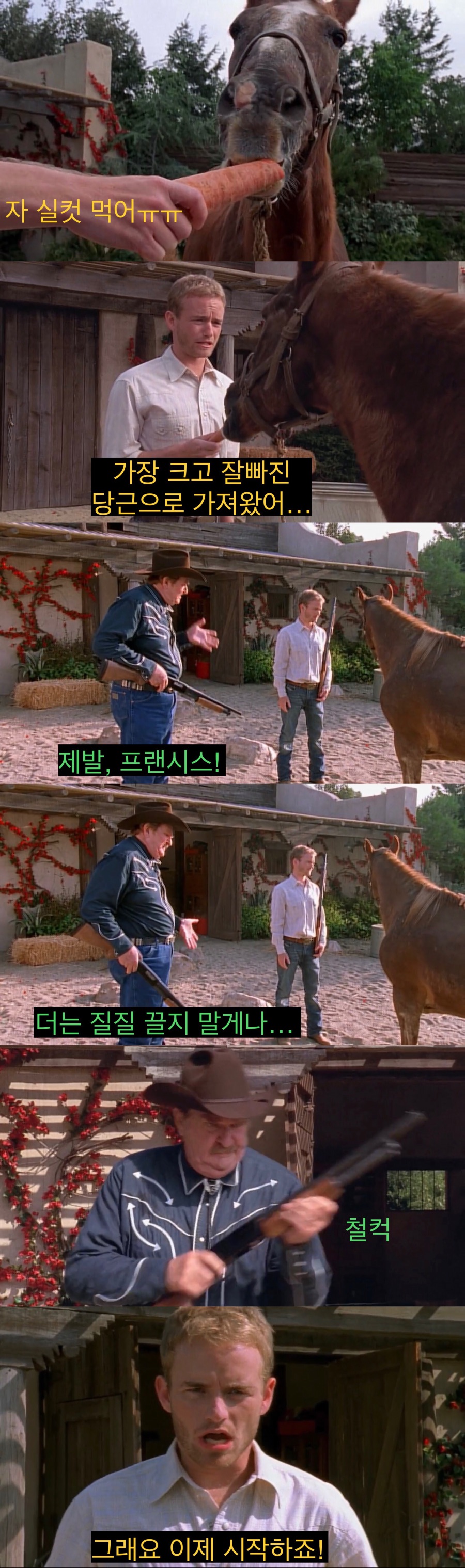 소중히 키운 말을 죽여야하는 카우보이들