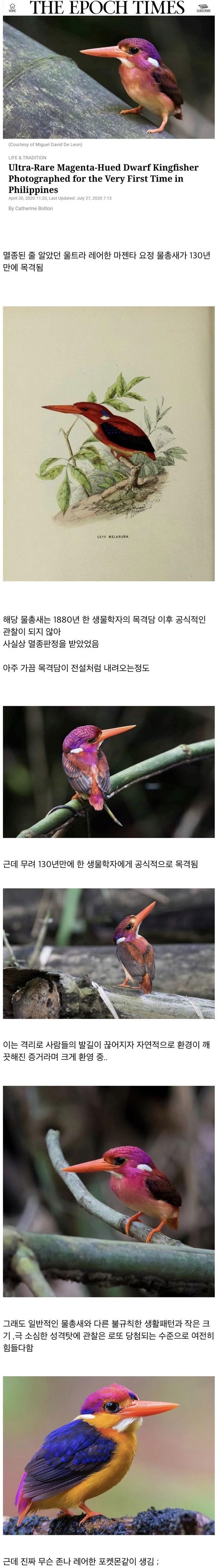 알고보니 멸종 안 됨