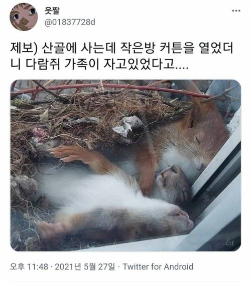 				산골에 살면 볼수있는 장면 .jpg