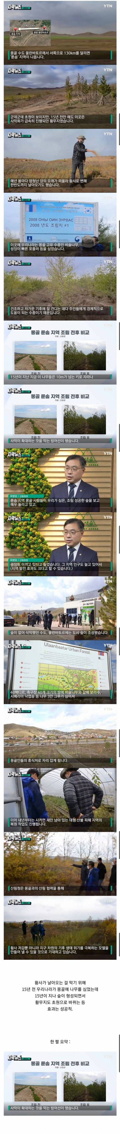 15년 전 몽골에 심은 나무 근황