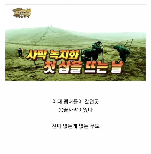 15년 전 몽골에 심은 나무 근황