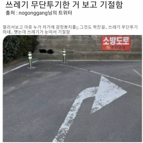 쓰레기 무단투기한거 보고 기절함