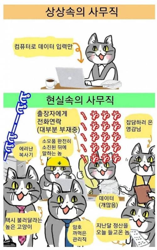 사무직 상상 vs 현실