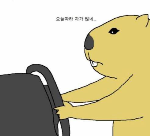 운전할 때 끼어들기에 대처하는.manhwa