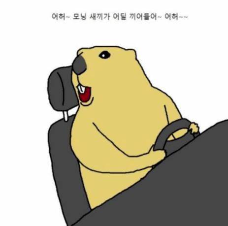 운전할 때 끼어들기에 대처하는.manhwa