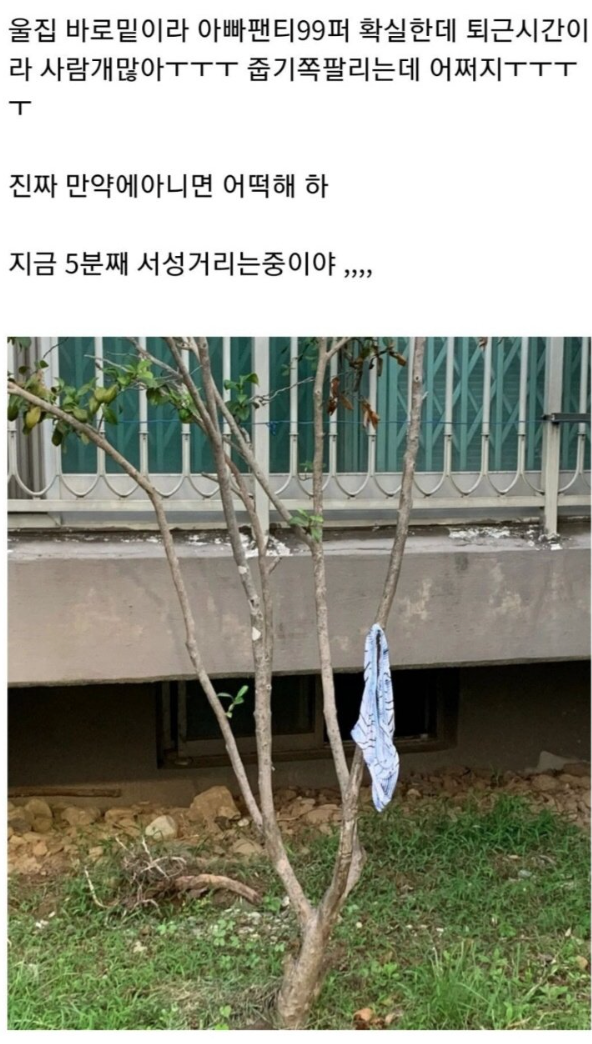 아 이거 아빠팬티 확실한데 어쩌지