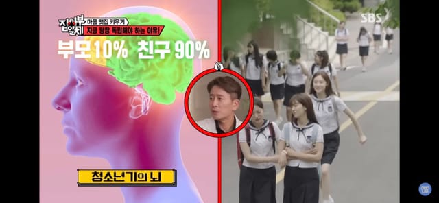 정신과 의사가 말하는 부모로부터 독립해야하는 이유