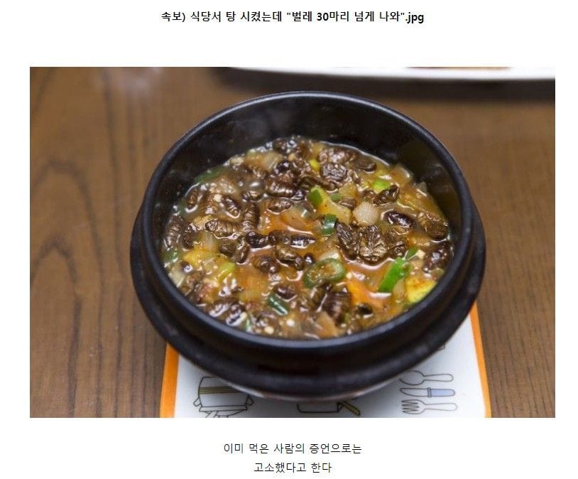 속보 식당서 탕 시켰는데 벌레 30마리 넘게 나와