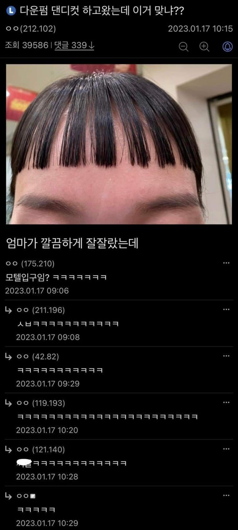 싱글벙글 디씨 헤어갤 레전드모음