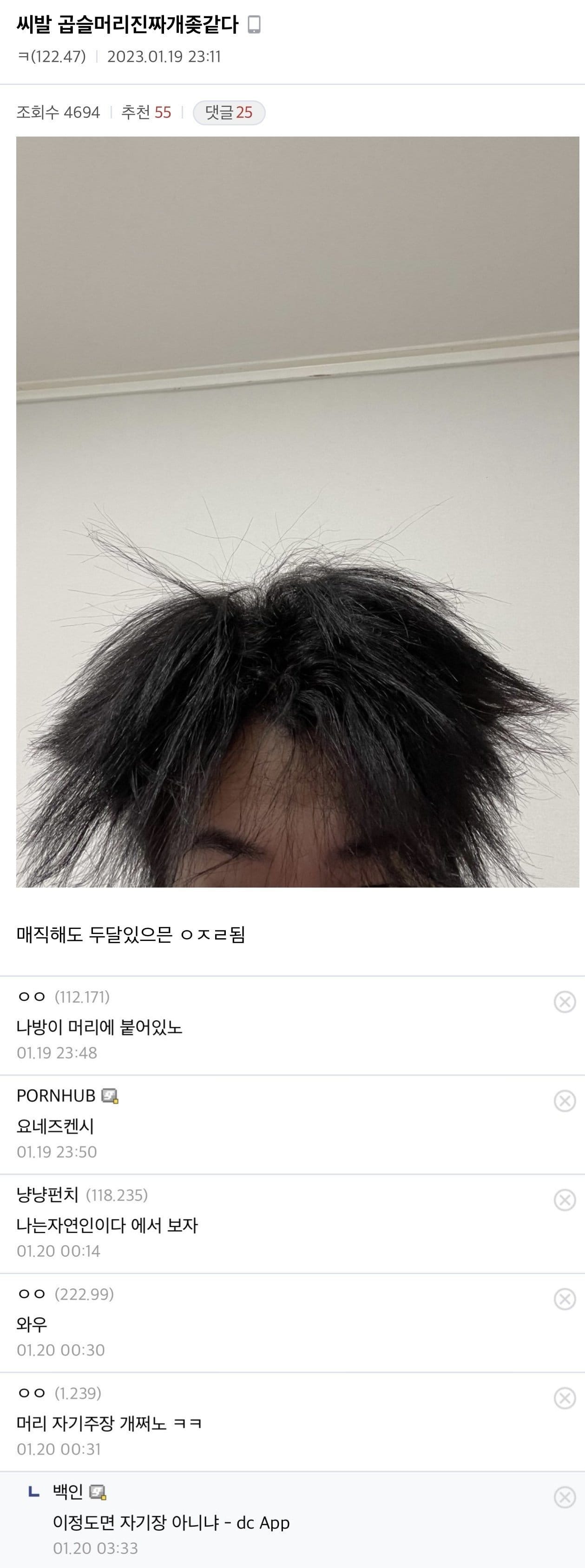 싱글벙글 디씨 헤어갤 레전드모음