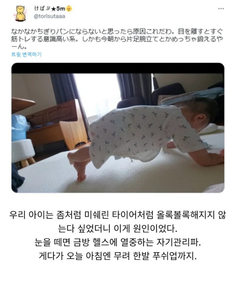 인생 2회차 헬창아기