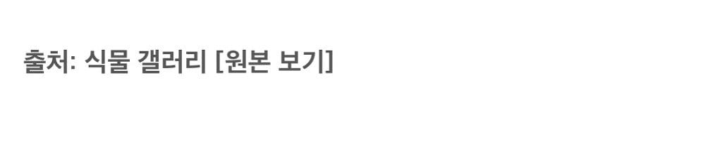 씨만보면 정신 못차리는 식물갤러리 근황 ㅋㅋㅋㅋㅋㅋ