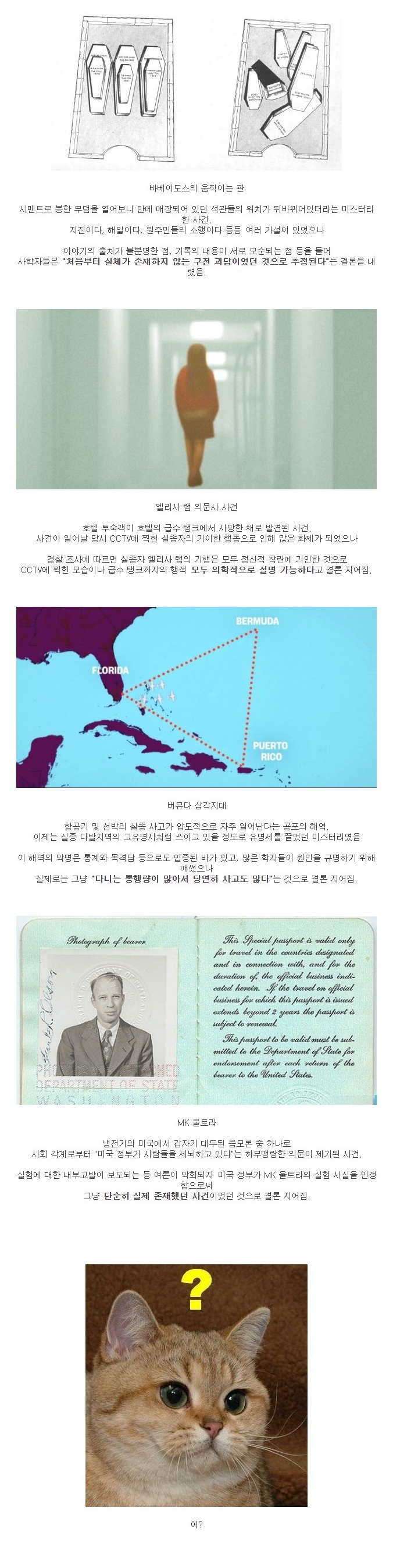 의외로 허무한 미스터리의 결말.jpg