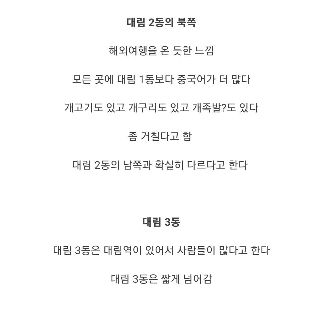 대림동을 직접 여행한 네덜란드인 .