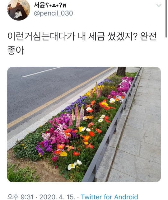 이런거 심는대다가 내 세금 썼겠지?.jpg