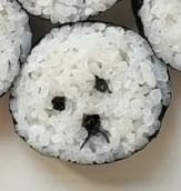 비숑 김밥