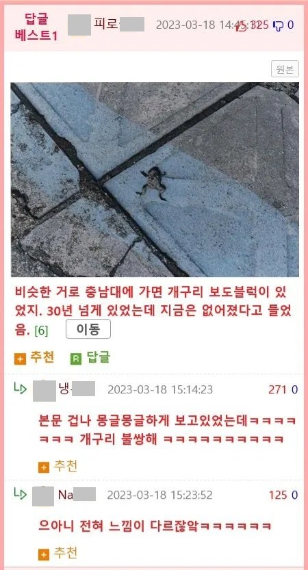 부산대 이스터에그 발견.jpg