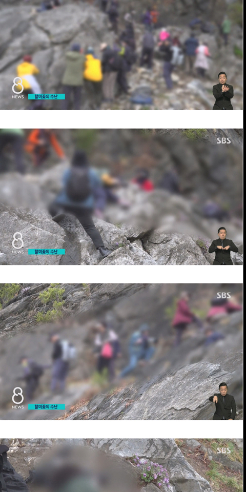 사진작가들이 사진 찍고 피사체를 훼손하는 이유