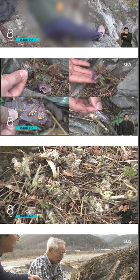 사진작가들이 사진 찍고 피사체를 훼손하는 이유