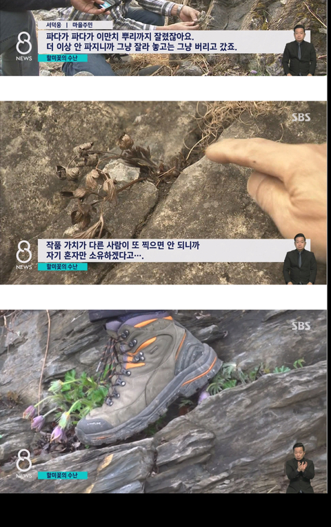 사진작가들이 사진 찍고 피사체를 훼손하는 이유