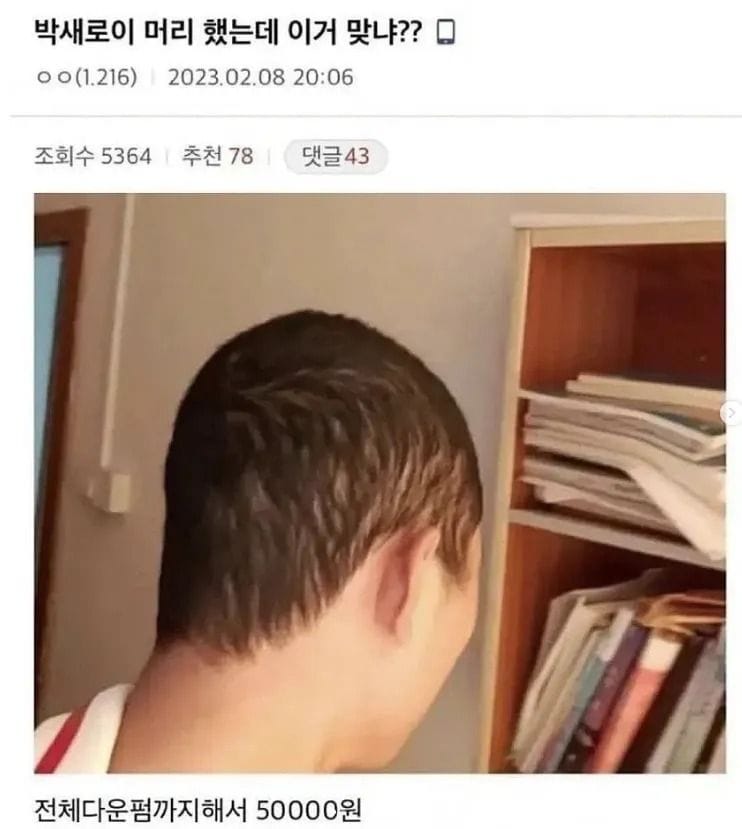 박새로이 머리를 한 디시인