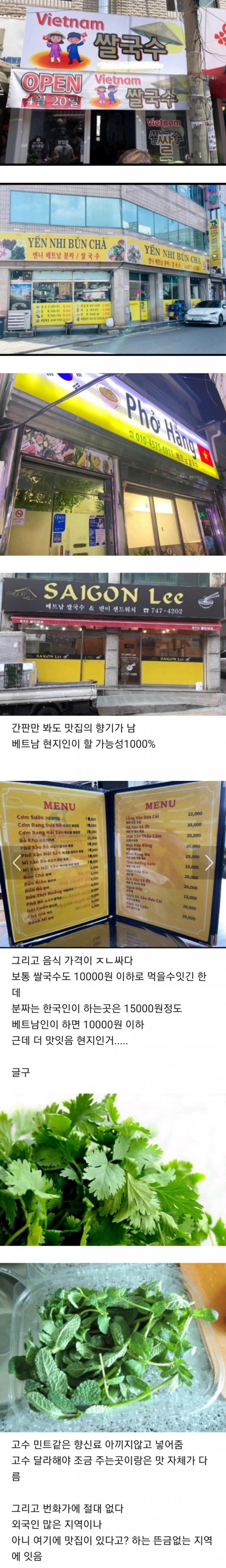 베트남 음식점 찐맛집 특.jpg