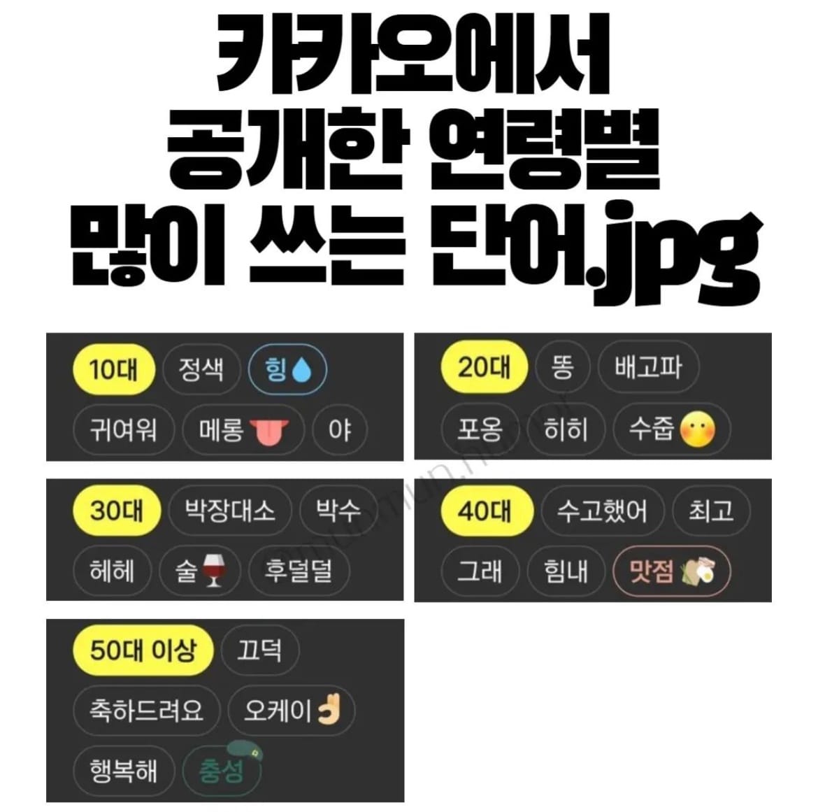 카카오 선정 연령별 많이 쓰는 말 랭킹