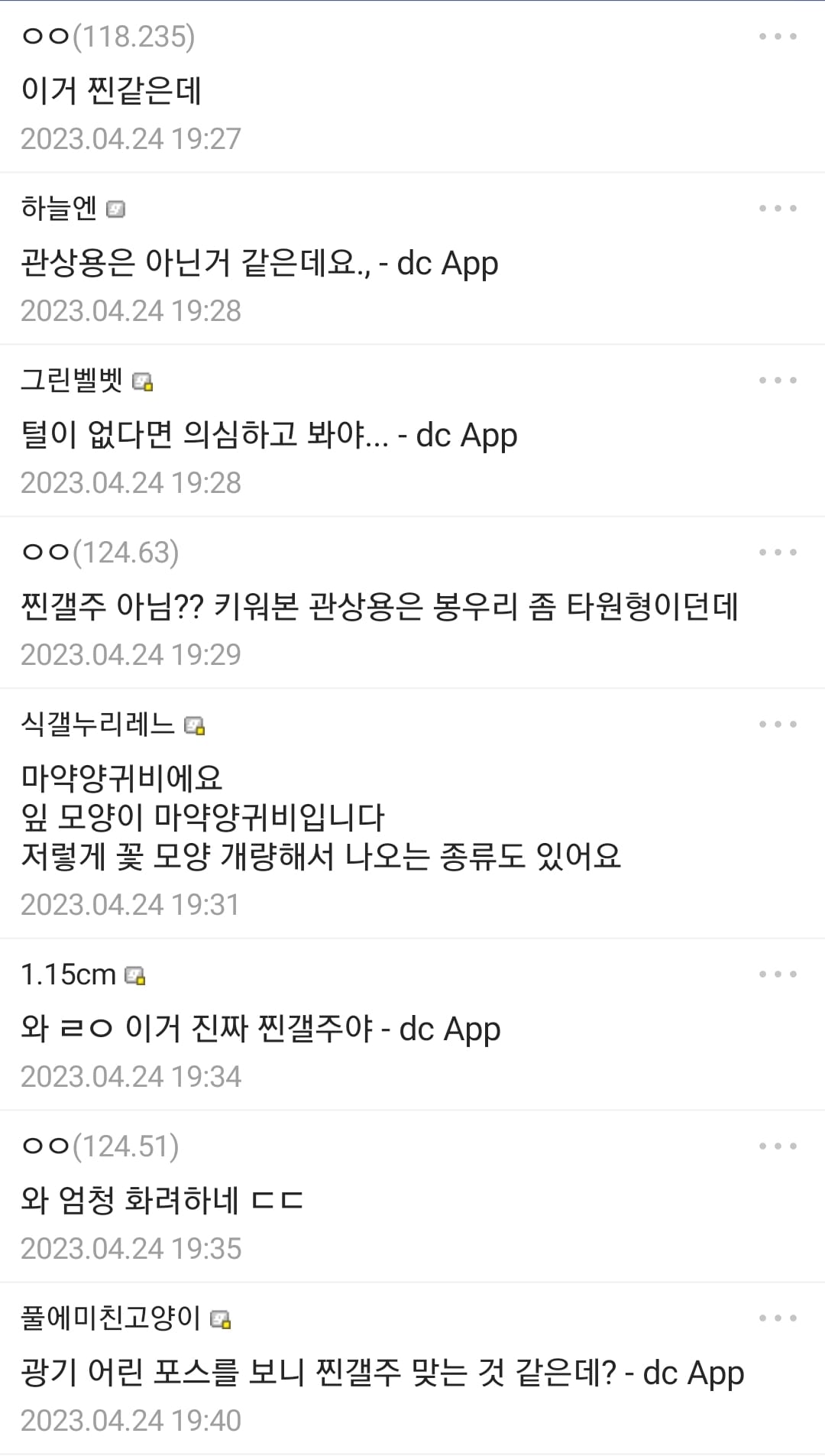 갤주님 등장한 식물 갤러리