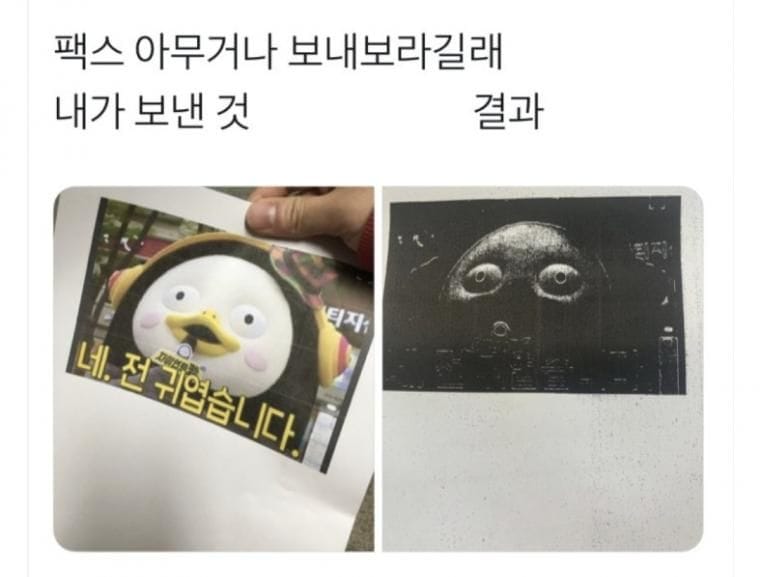 팩스 아무거나 보내보라길래