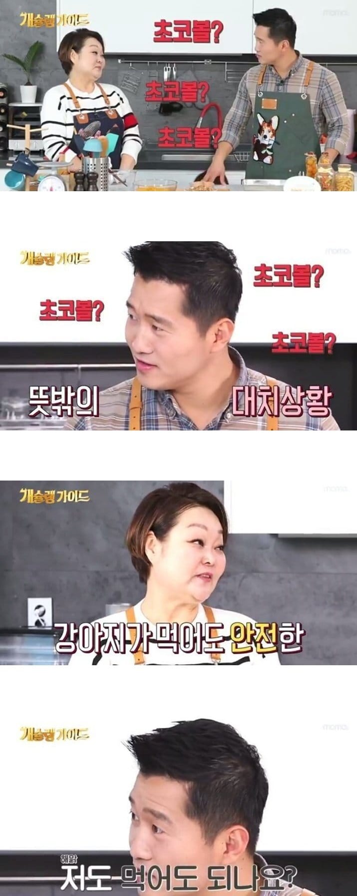 강아지가 먹어도 안전한 초코볼.jpg