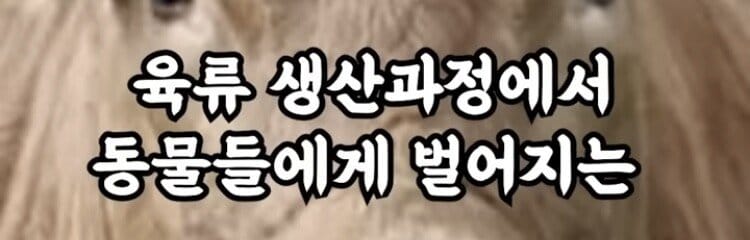 10년만에 고기 맛을 봤다는 비건 여성