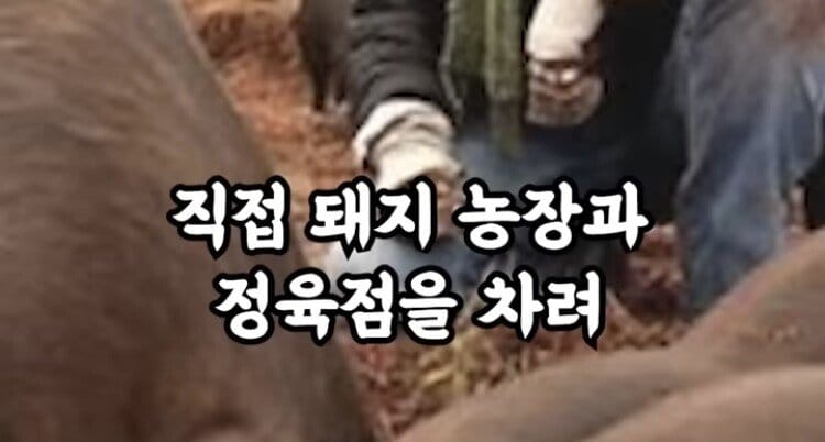 10년만에 고기 맛을 봤다는 비건 여성