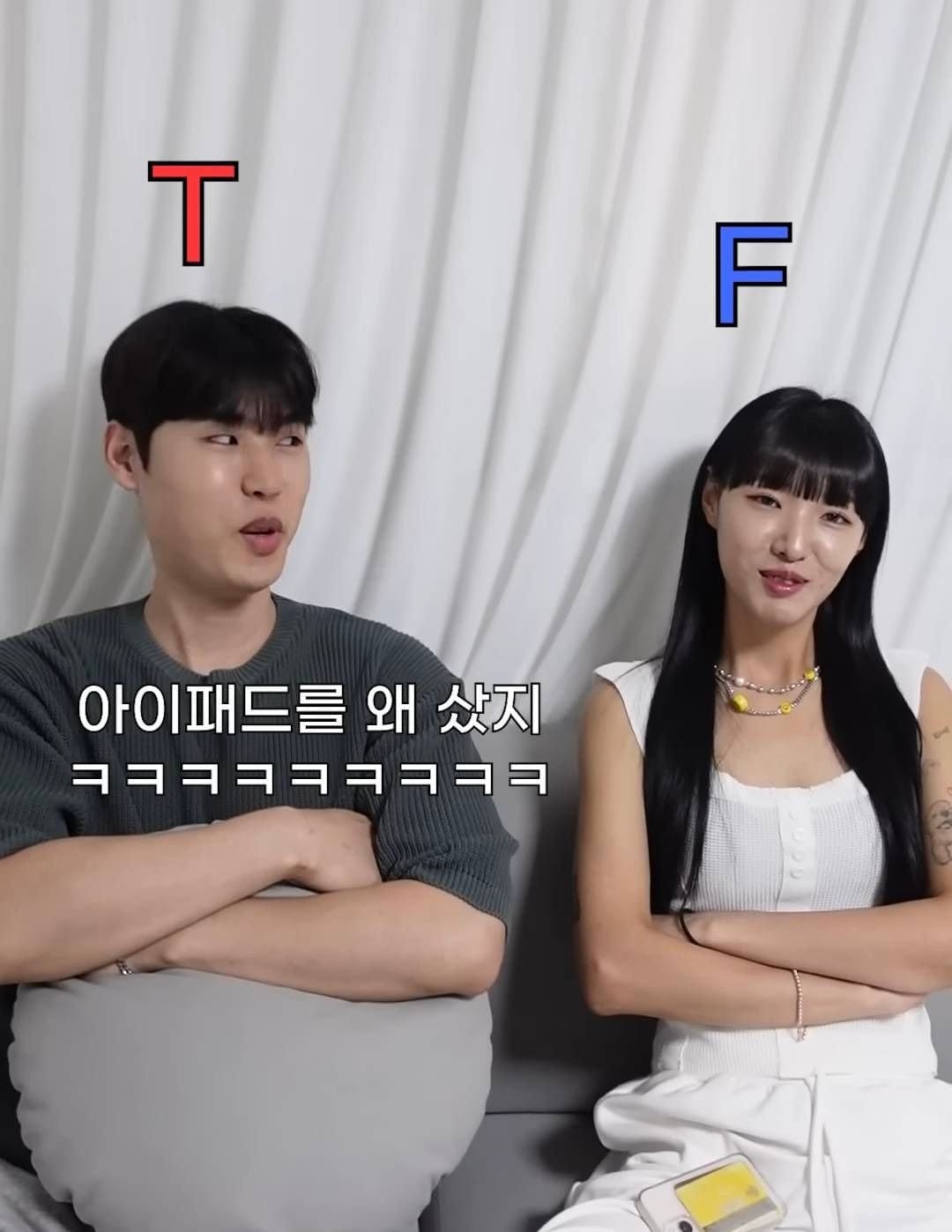 확실하게 T랑 F가 구분된다는 아이패드 질문