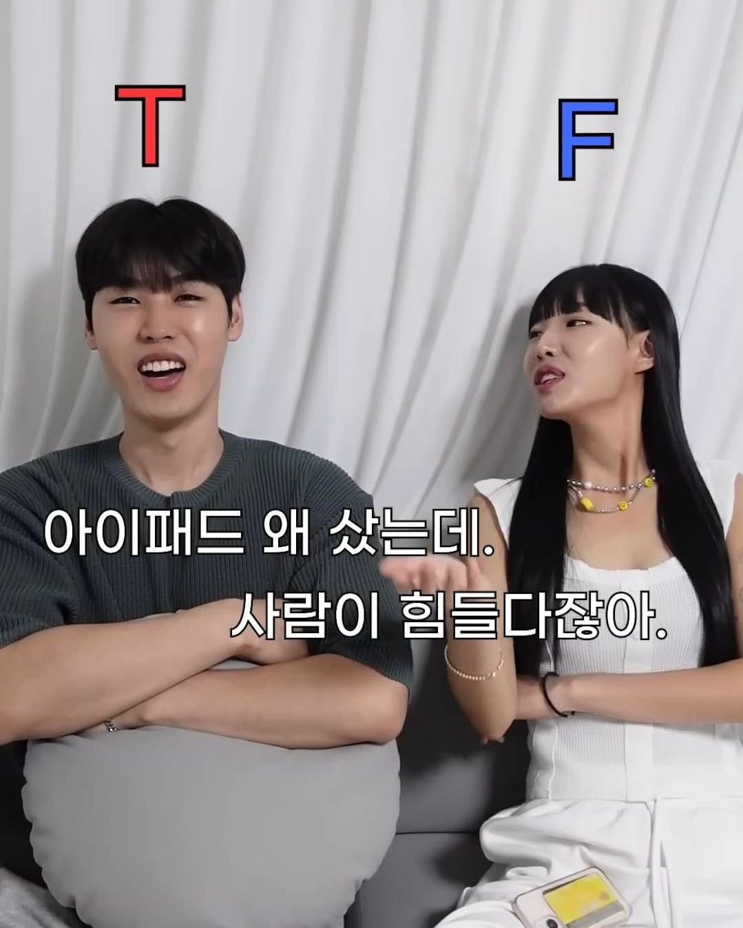 확실하게 T랑 F가 구분된다는 아이패드 질문