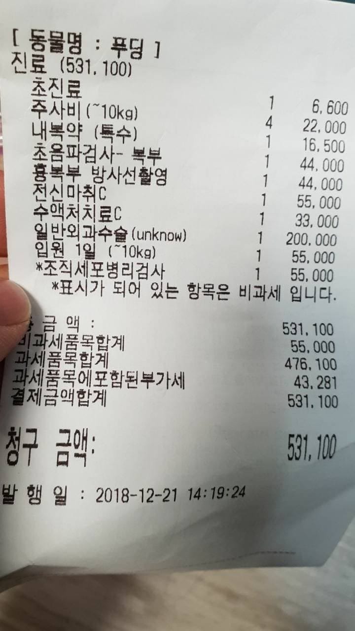 동물병원 진료비.jpg