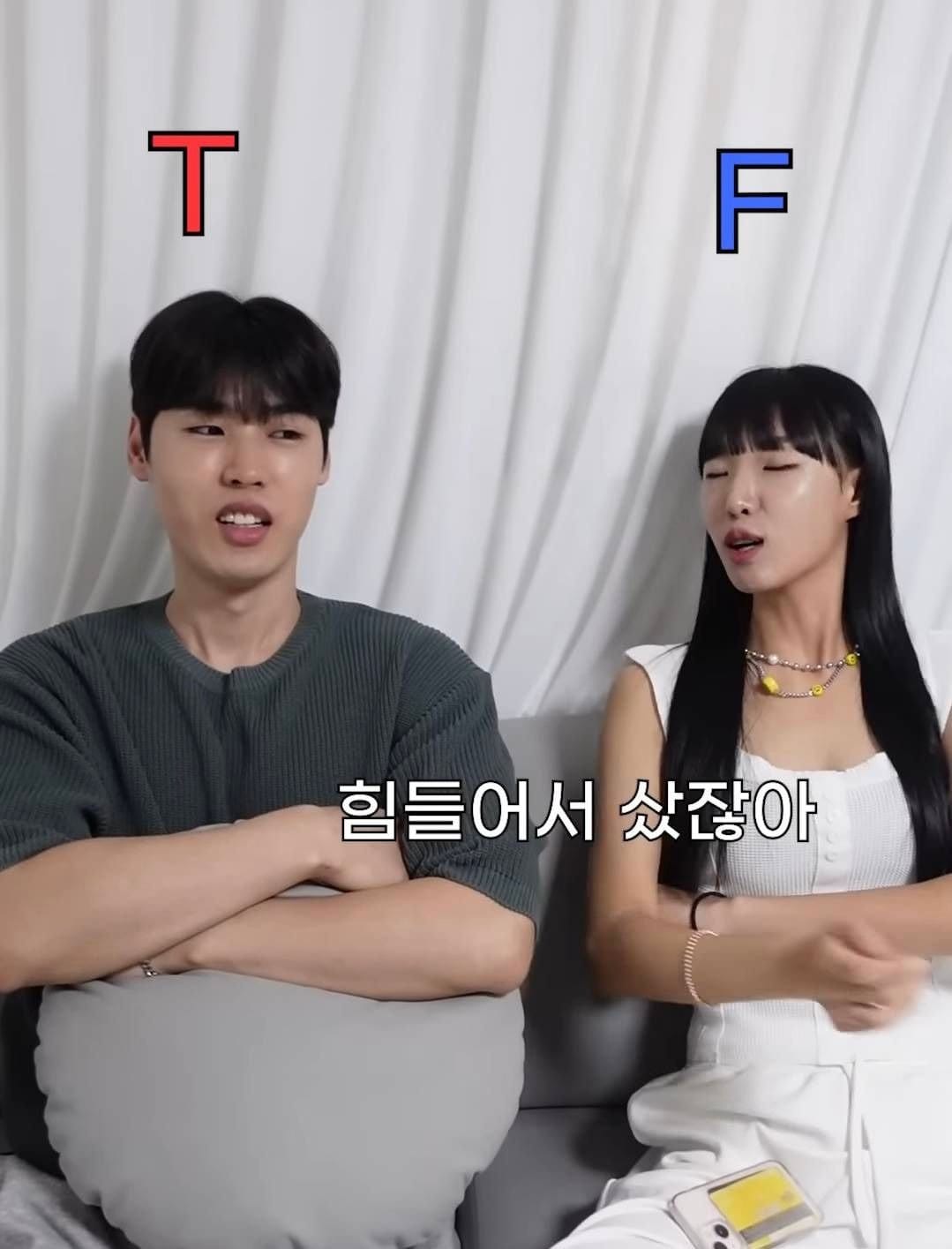 확실하게 T랑 F가 구분된다는 아이패드 질문