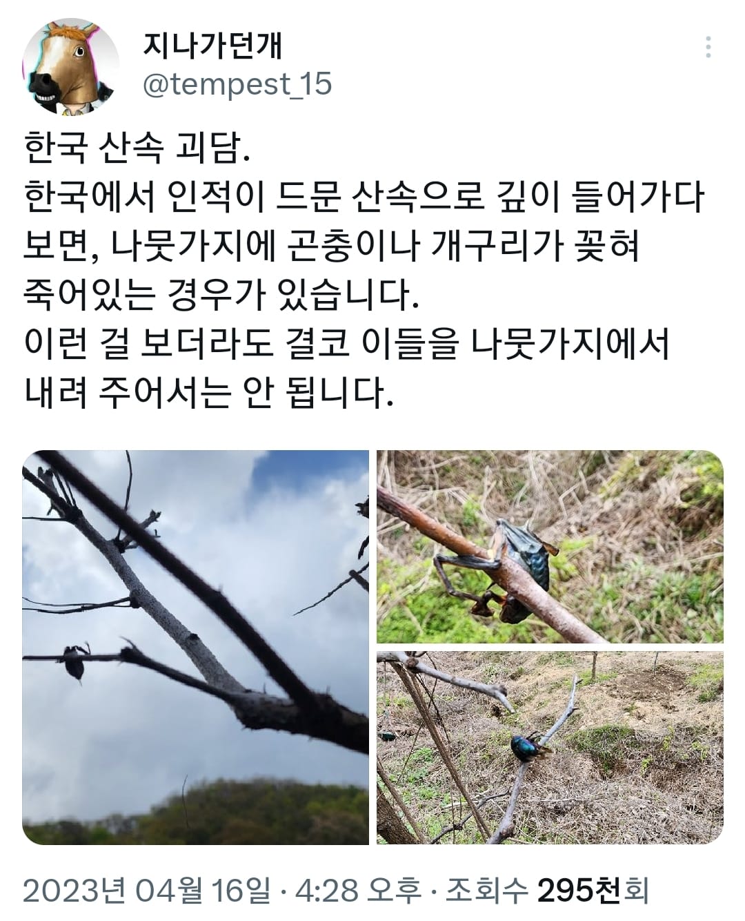 한국 산속 나폴리탄 괴담