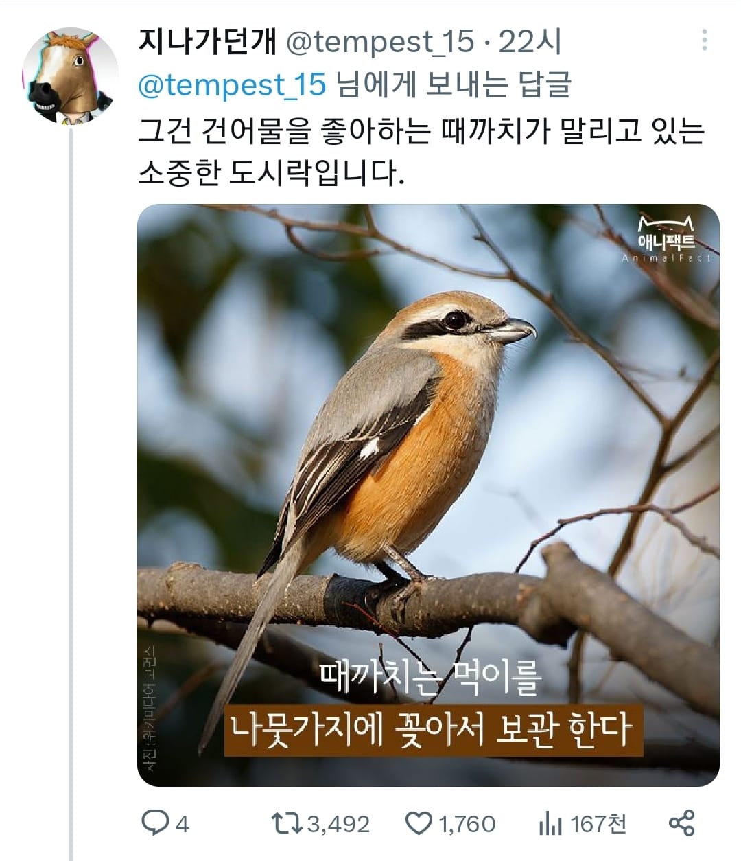 한국 산속 나폴리탄 괴담