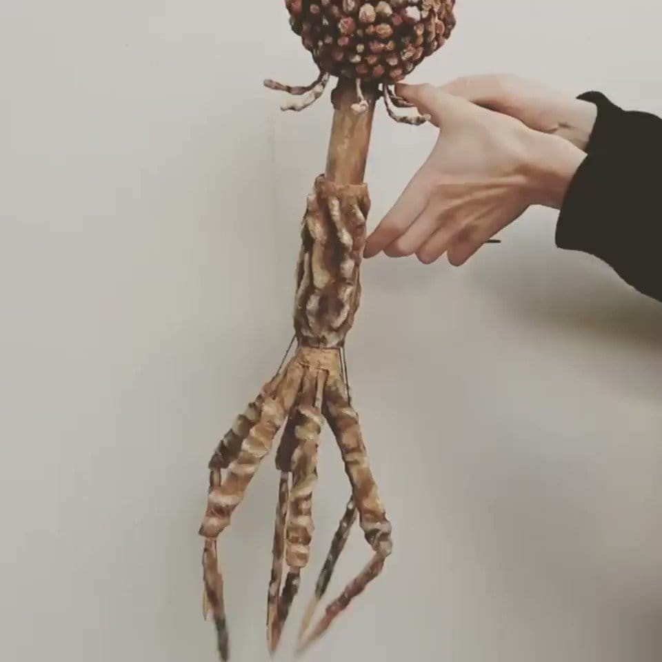 박테리오파지 실제 모습
