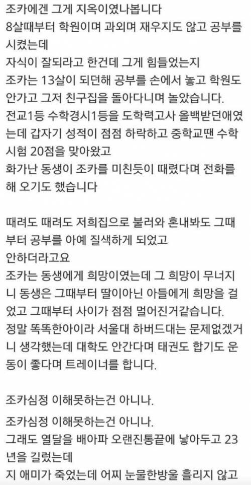 23살 조카가 미친 거 같습니다