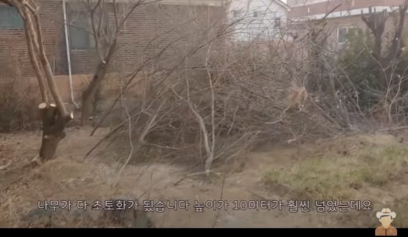 귀촌 한달지나 황당한 일 겪은 유튜버