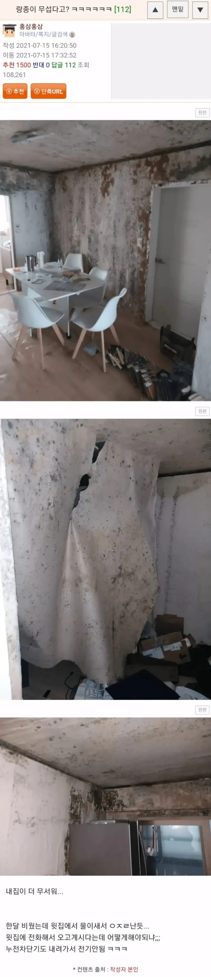 공포 영화 랑종이 무섭지 않다는 웃대인.jpg