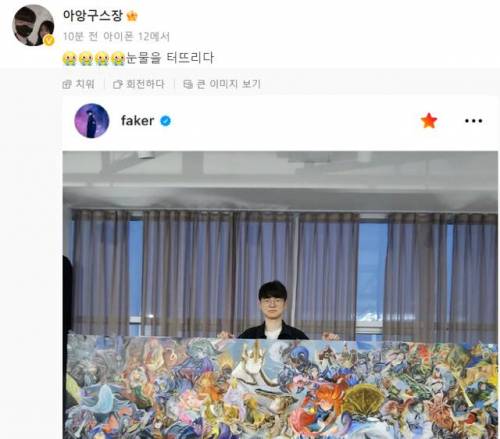 페이커를 위해 2년 반동안 그린 그림을 수도관에 넣고 직접 한국까지 배송한 중국팬