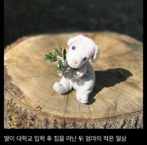 딸이 남기고 간 인형과 엄마.jpg