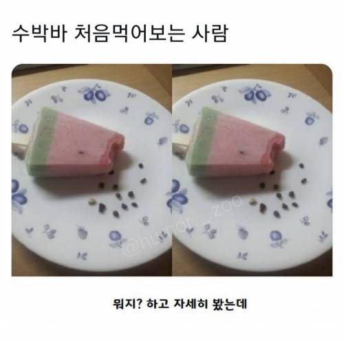 				수박바 처음 먹어보는 사람