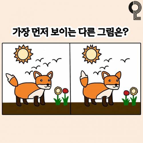 완전 잘 맞아서 소름돋는 심리테스트