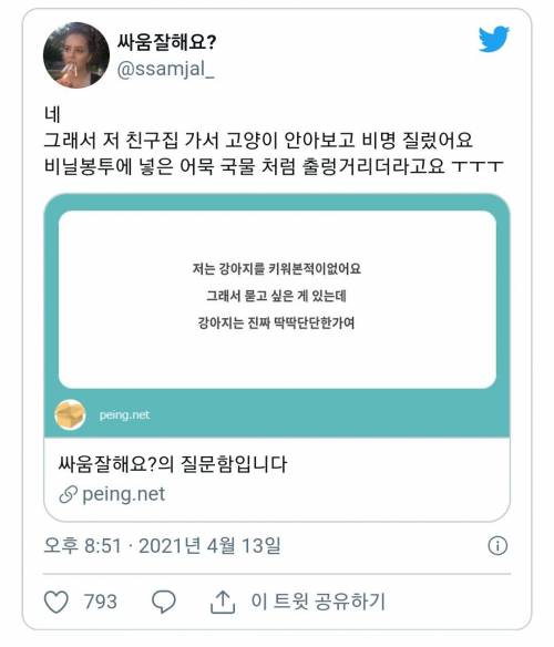 강아지 키워본적없는데 진짜 딱딱단단한가여?