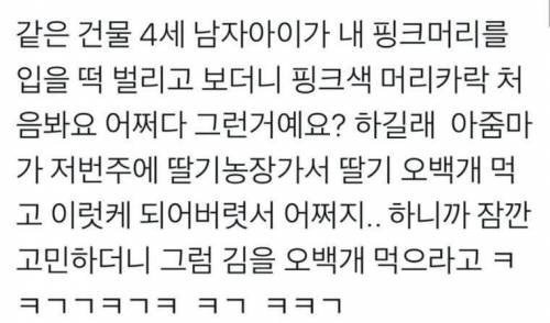 핑크머리를 처음 본 아이