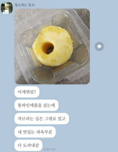 어딘가 잘못된 파인애플.jpg